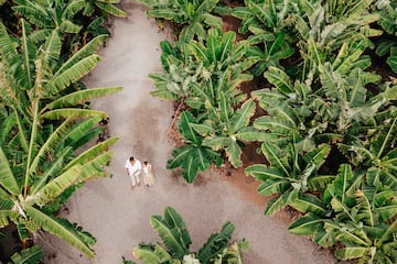 a man and woman standing in a banana plantation