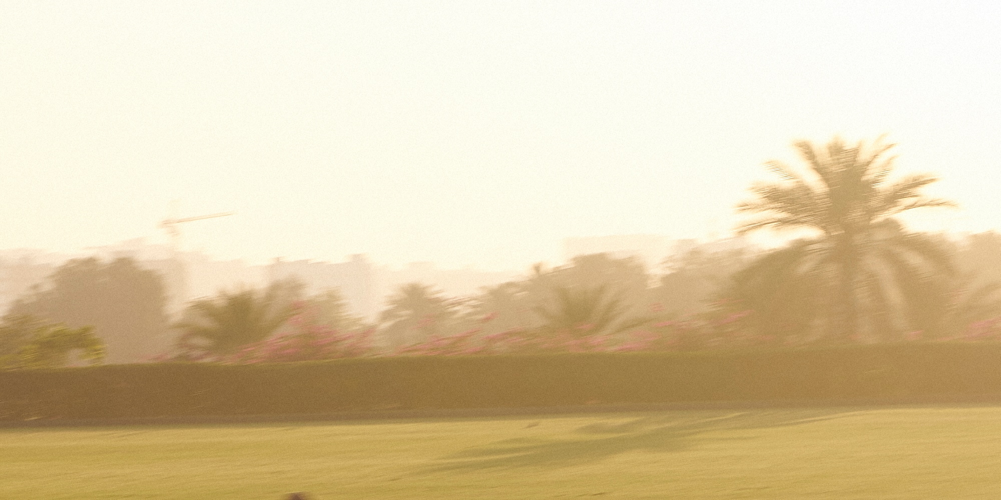 a person riding a horse in a field