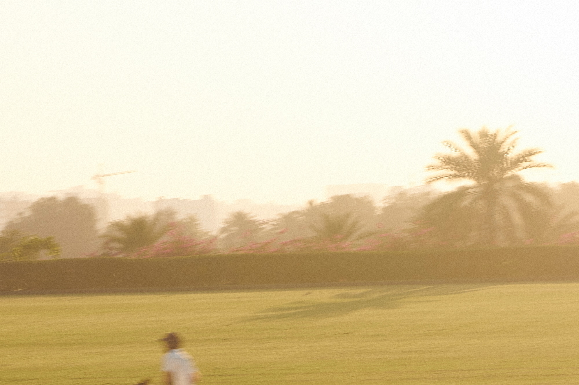 Polo player on horseback galloping across a green field at golden hour.