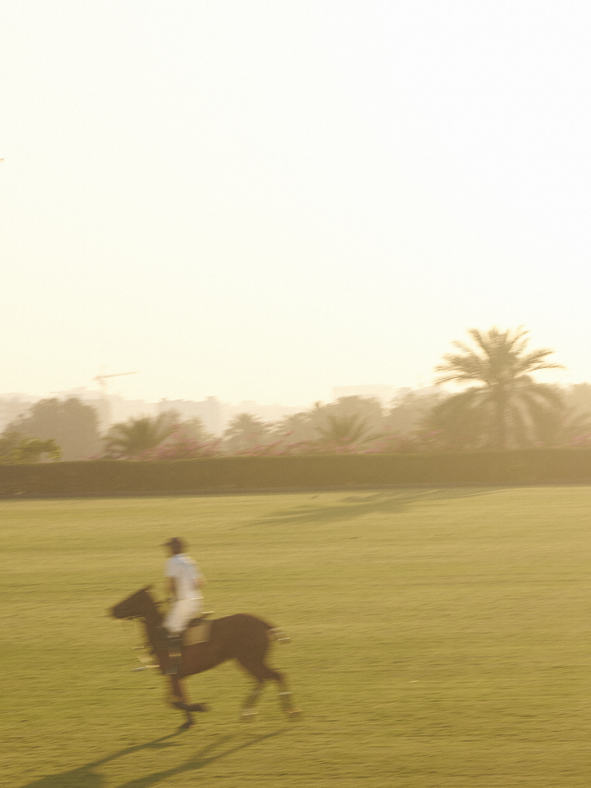 Polo player on horseback galloping across a green field at golden hour.
