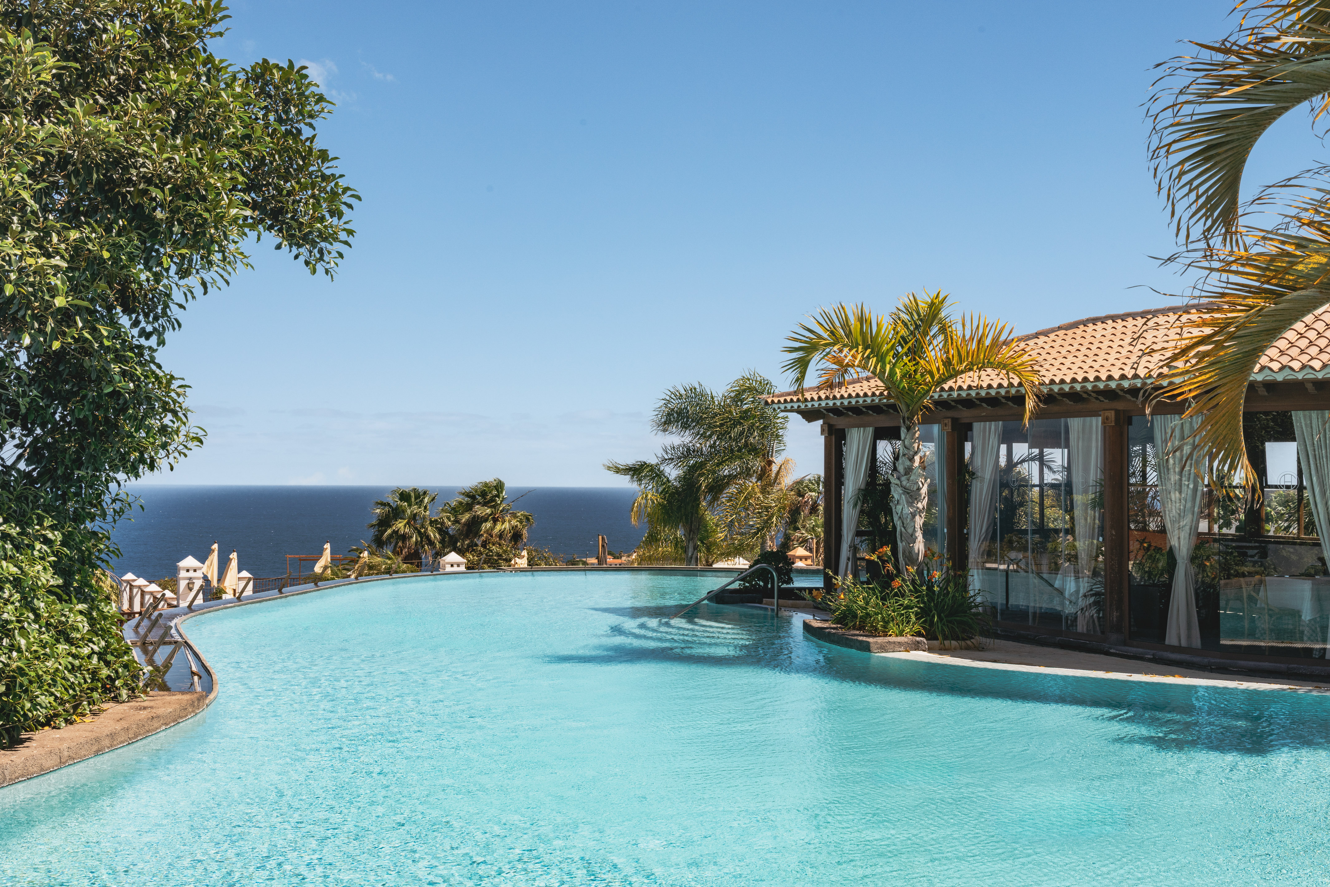 Luxury infinity pool, ocean view, palm trees, and resort building.