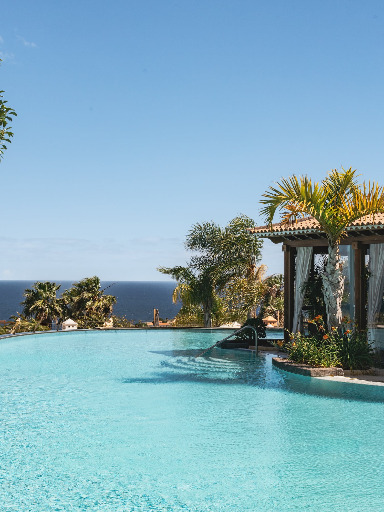 Luxury infinity pool, ocean view, palm trees, and resort building.