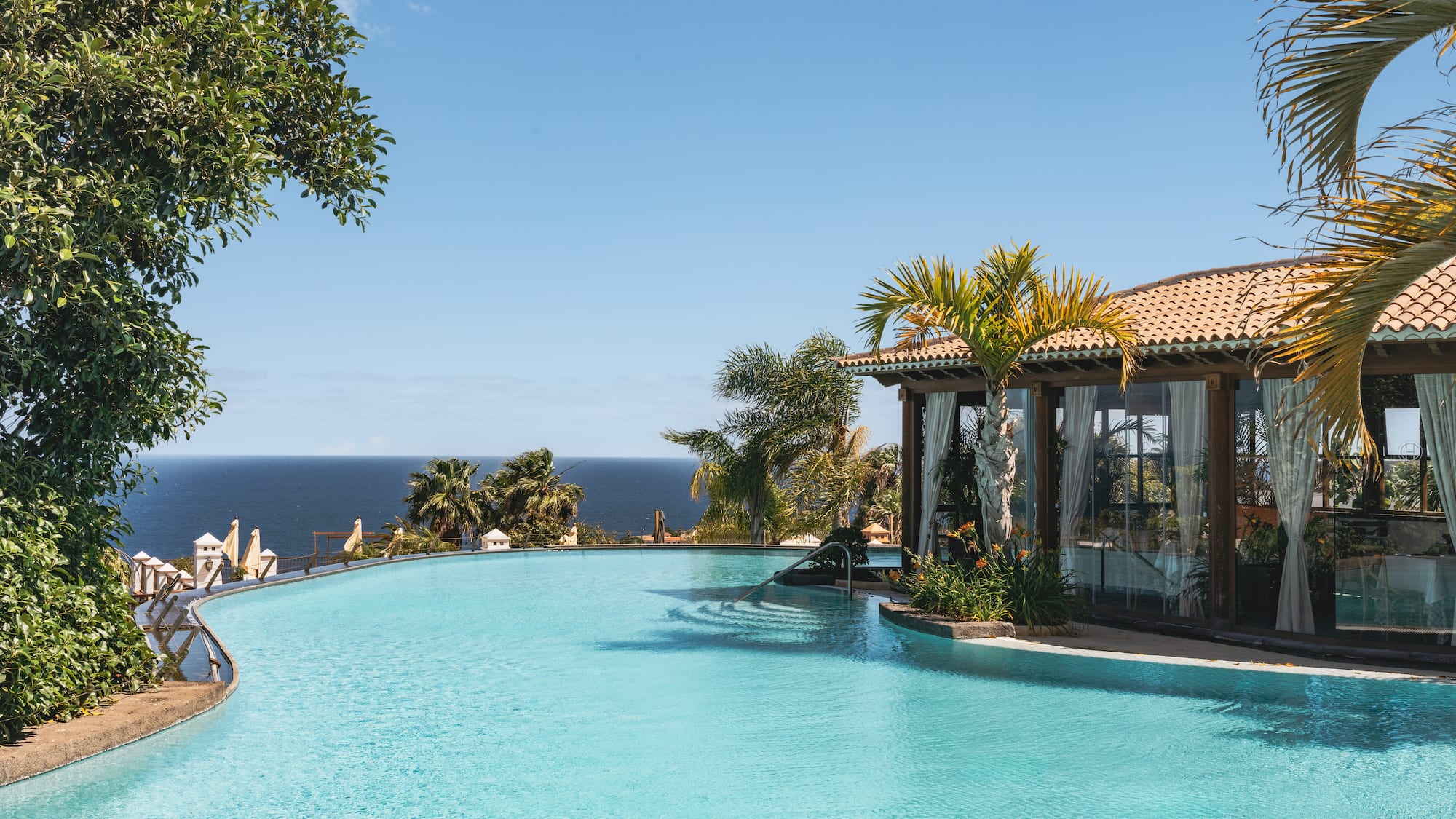 Infinity pool overlooking ocean, with palm trees and a tropical resort building.