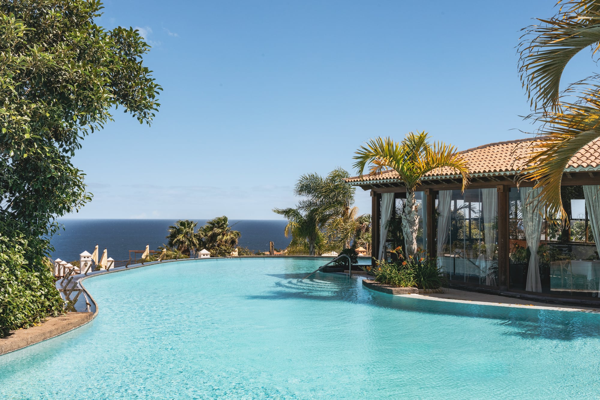 Infinity pool overlooking ocean, with palm trees and a tropical resort building.