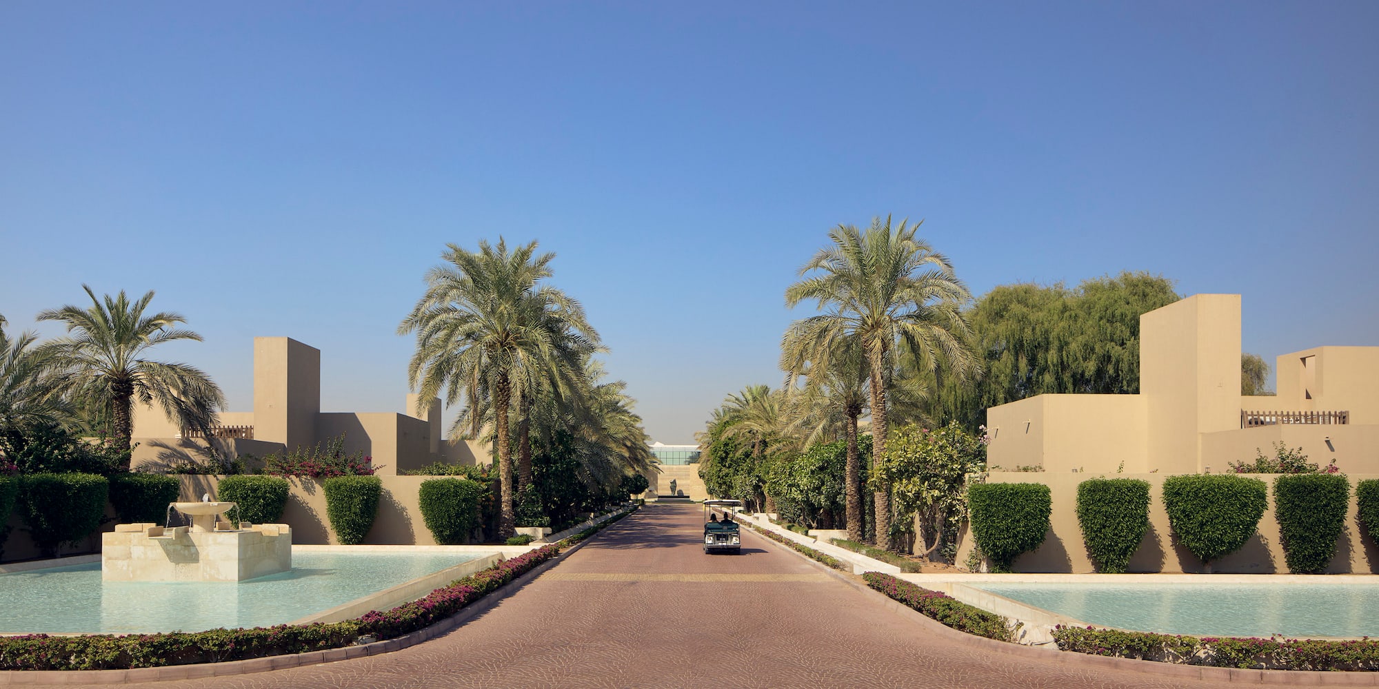 a road with palm trees and a pool