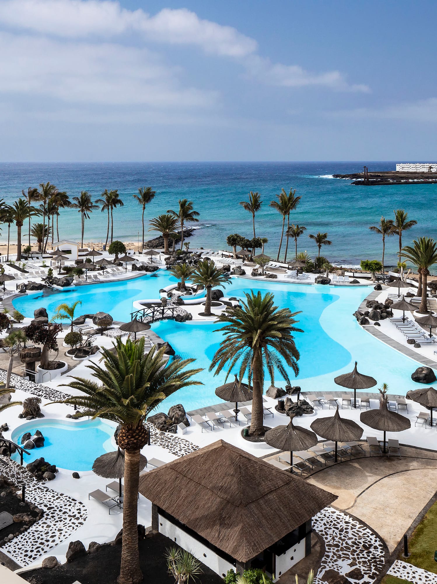 a swimming pool with palm trees and a beach