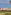 Golfers on tropical golf course with colorful resort hotel and palm trees.