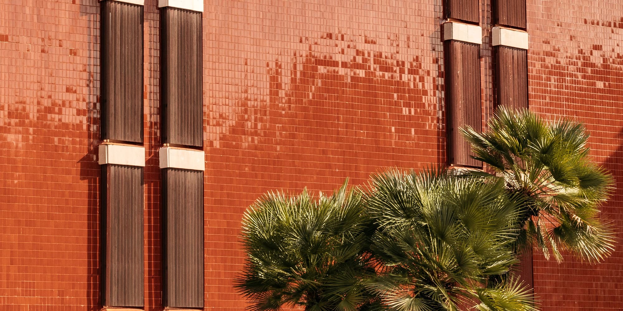 a building with palm trees