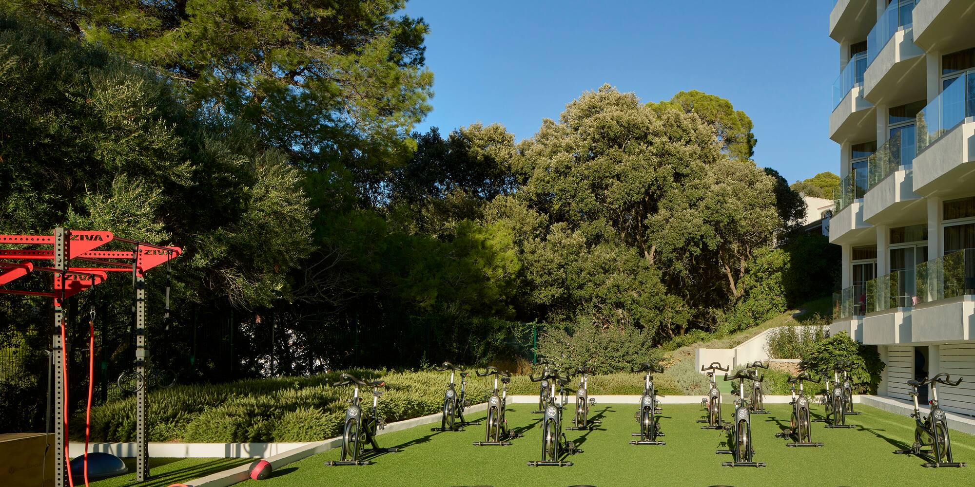 a group of bicycles on a grassy area