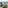 Elevated view of a coastal town: beach, blue sea, palm trees, apartments.