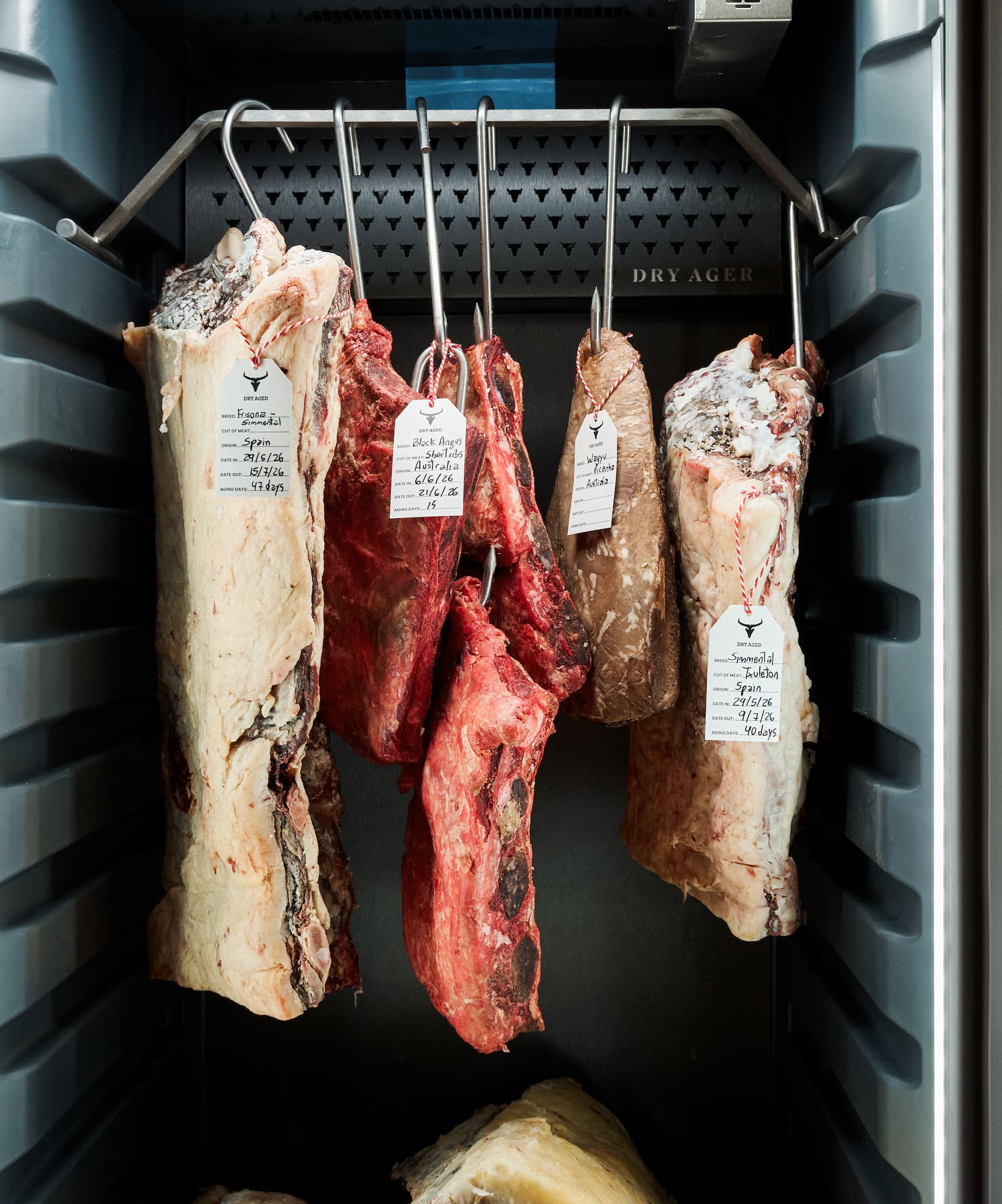 Dry-aged beef cuts: Simmental & Black Angus, in a lighted Dry Ager.