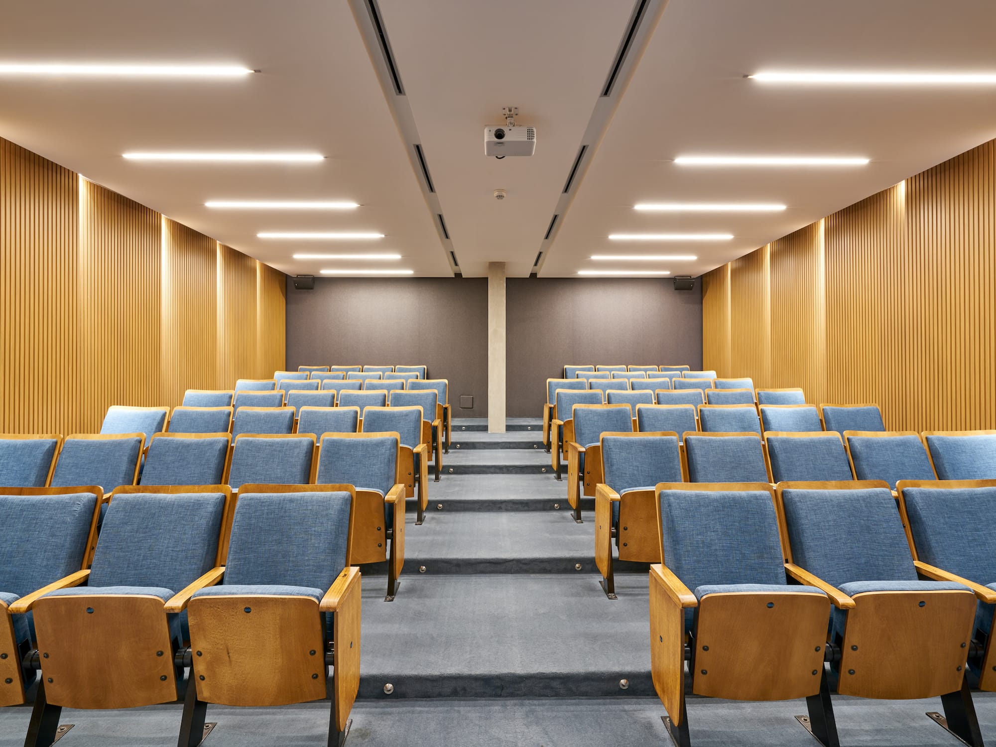 a room with blue chairs and a carpet