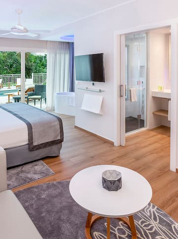 a room with a bed and a television