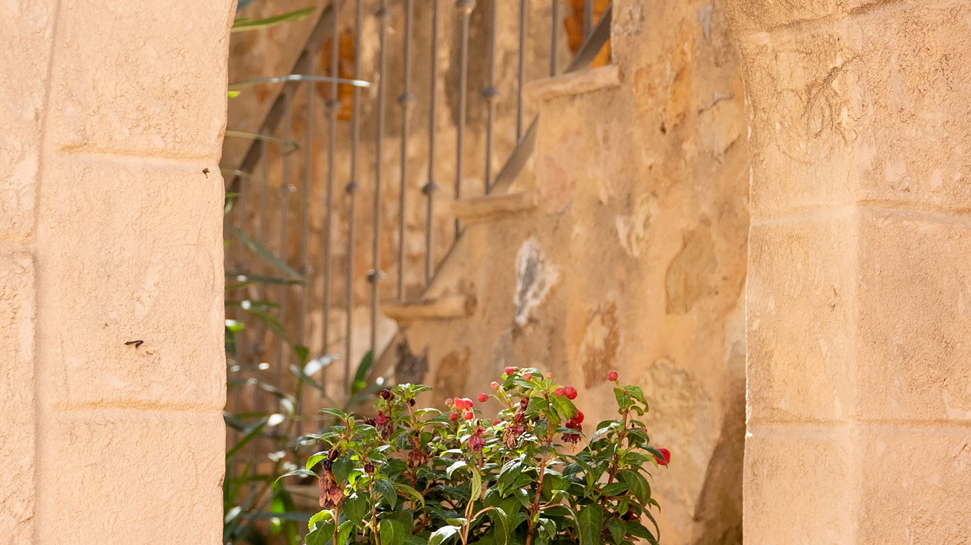 a potted plant in a stone archway