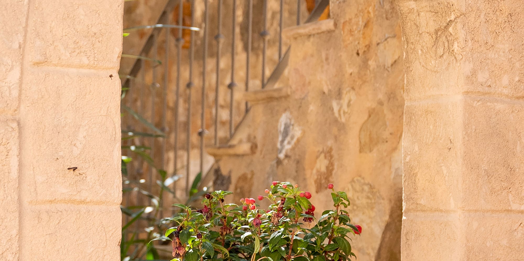 a potted plant in a stone archway