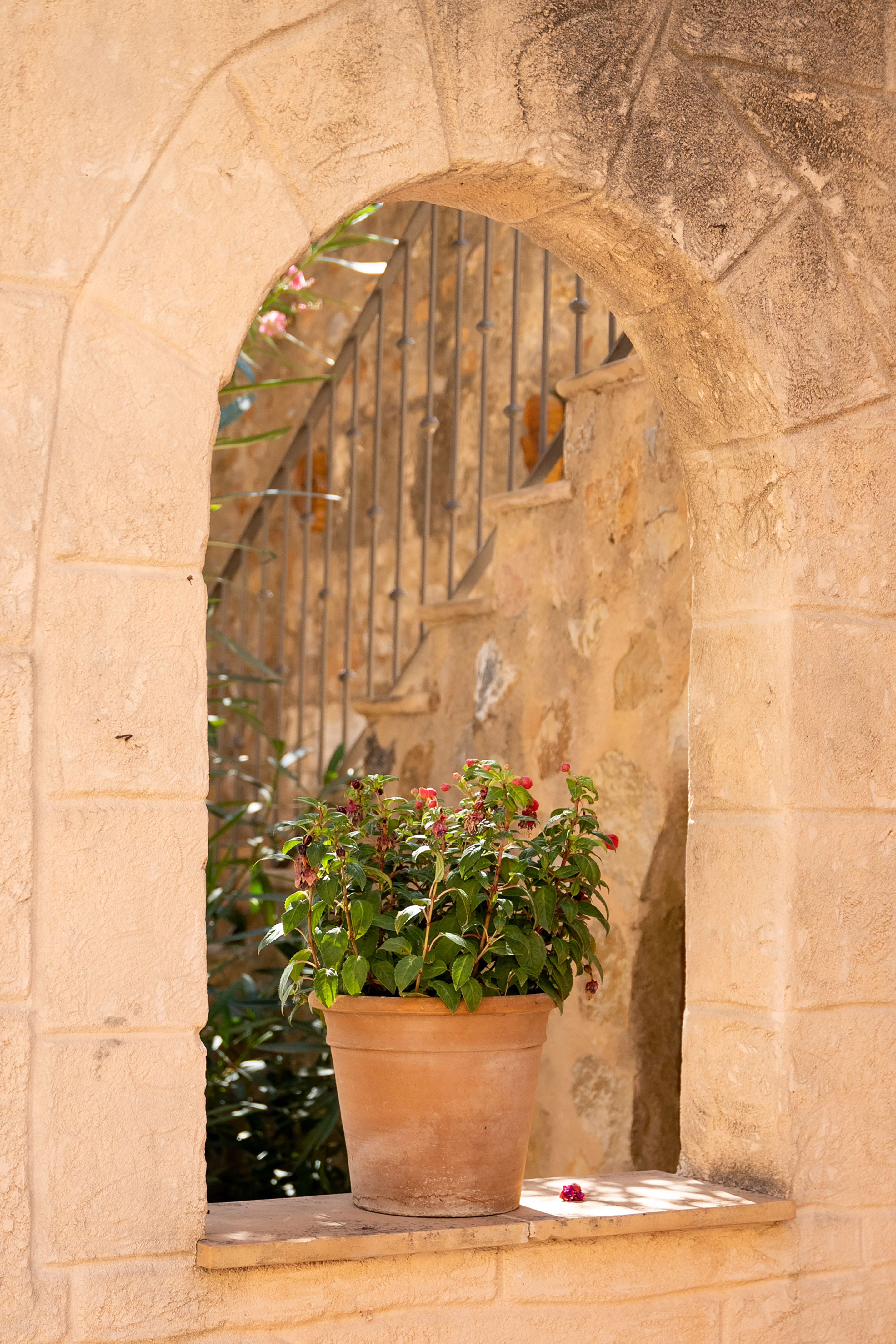Red flowering plant in terracotta pot on stone archway ledge, rustic courtyard.