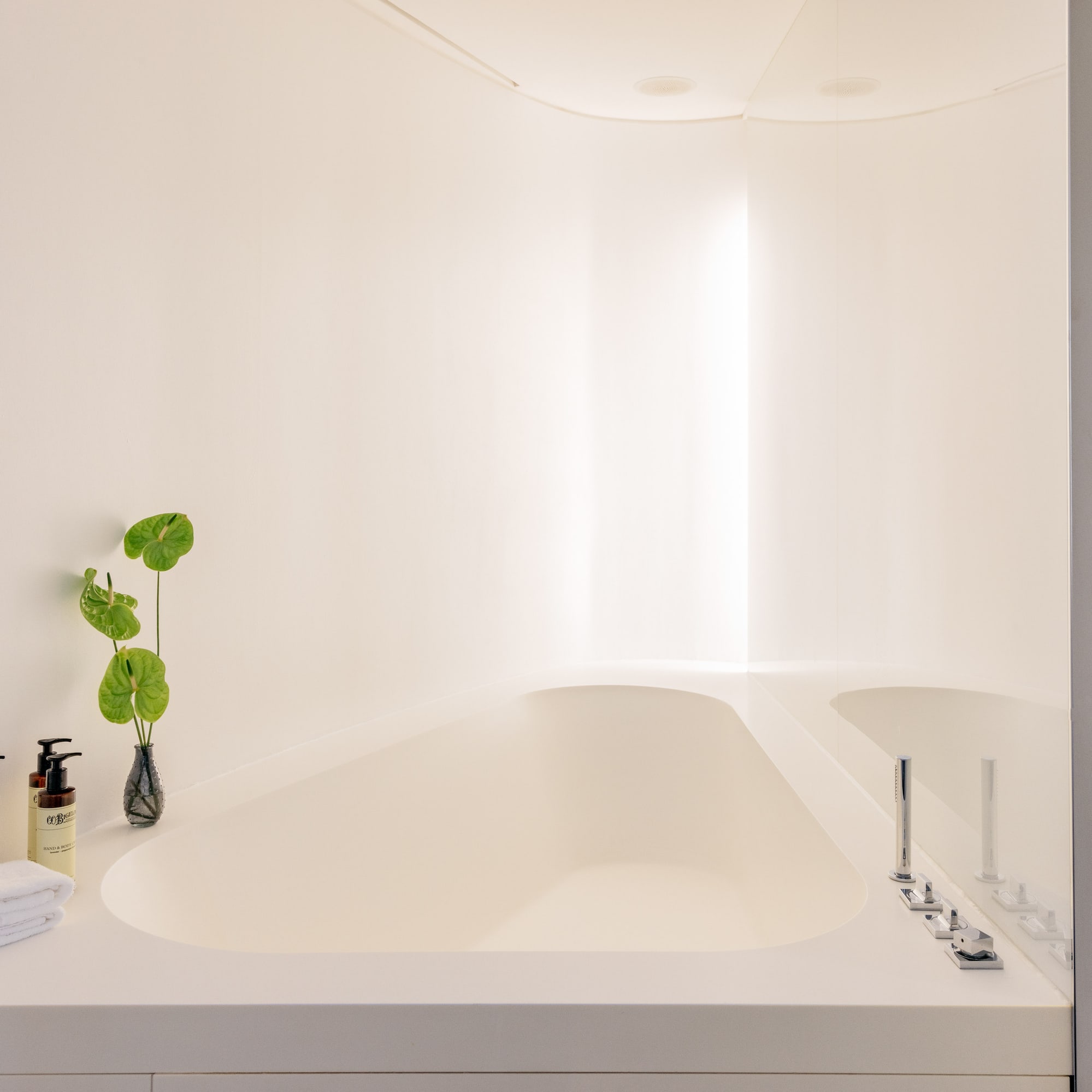 a bathtub with a plant on the side