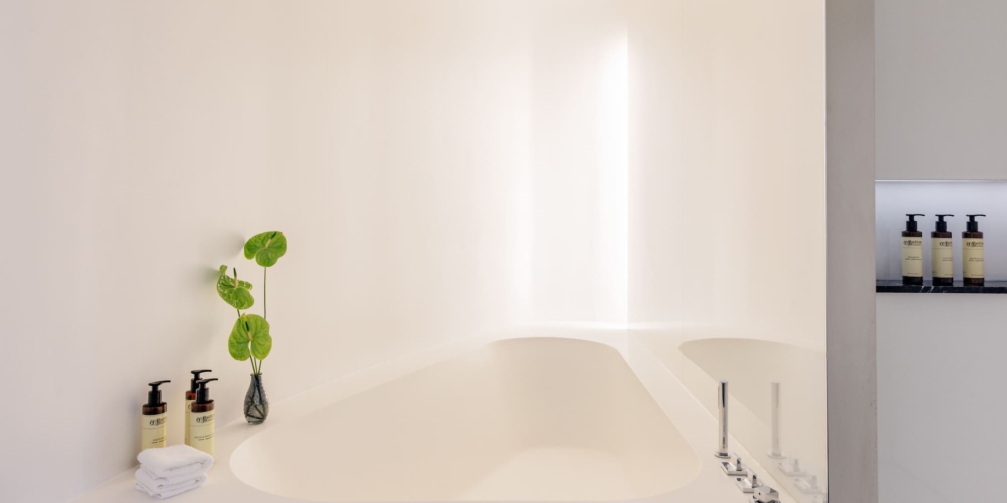 a bathtub with a plant on the side
