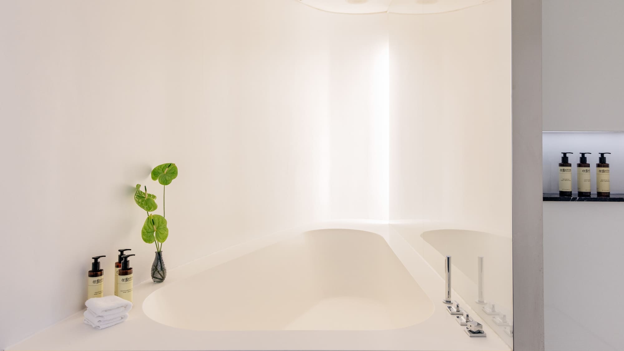 a bathtub with a plant on the side