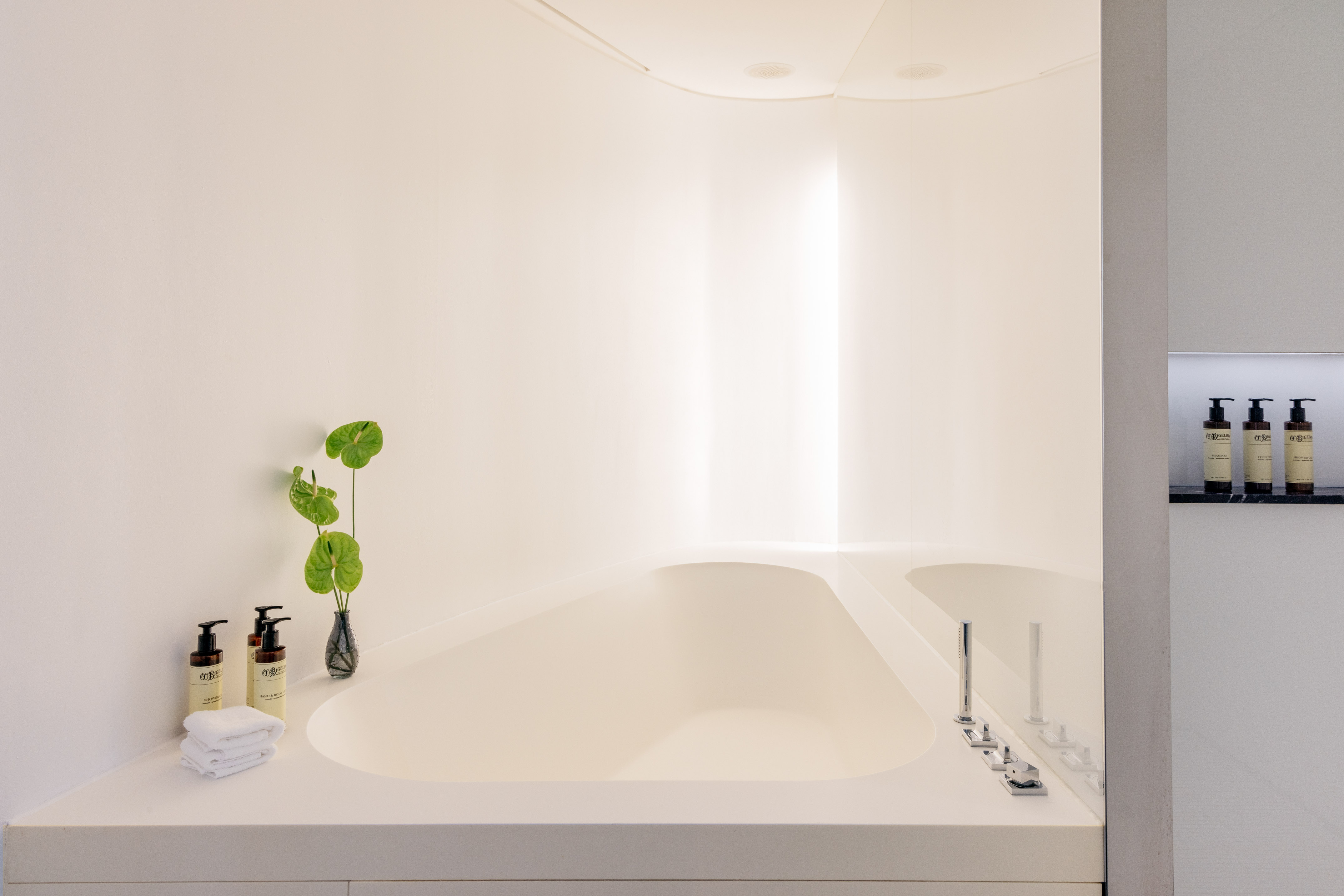 Luxury minimalist bathroom with white bathtub, plant, and bath amenities.