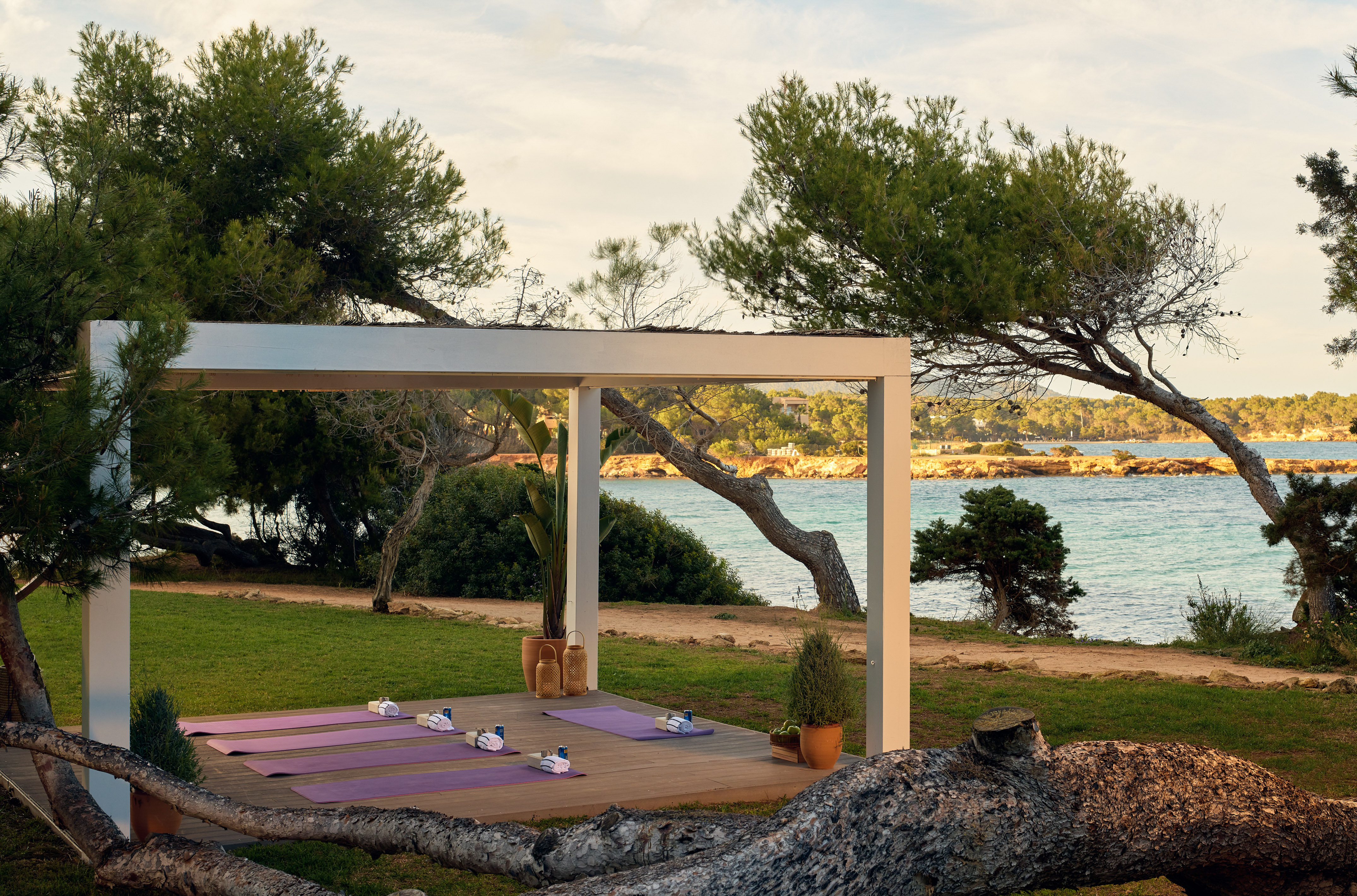 Scenic outdoor yoga studio with purple mats, ocean view, and white pergola.