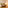 Neutral living room with beige tufted sofa, round wooden table, and warm lighting.