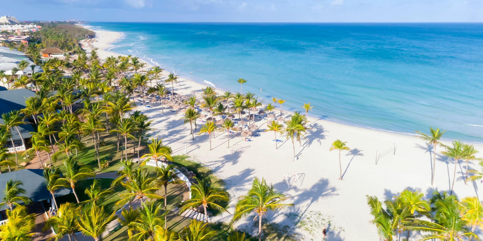 a beach with palm trees and blue water