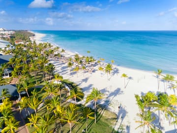 a beach with palm trees and blue water