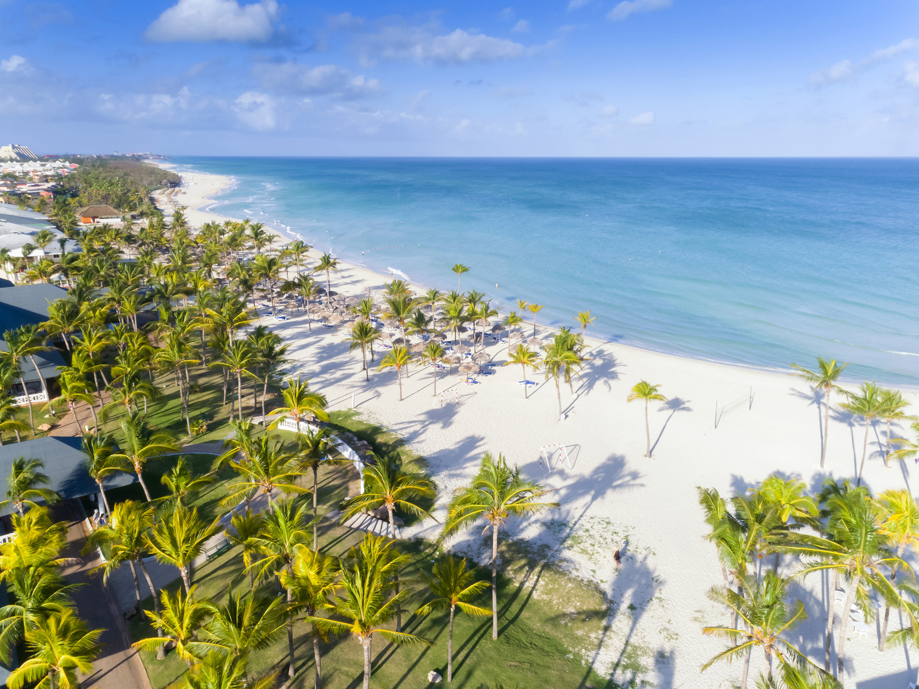 a beach with palm trees and blue water