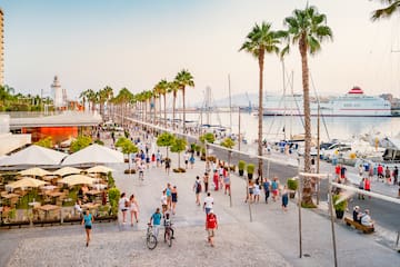 a group of people walking on a sidewalk with palm trees and boats