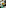 Fresh tomato & arugula salad, pesto pasta, red wine, sunlit outdoor dining.