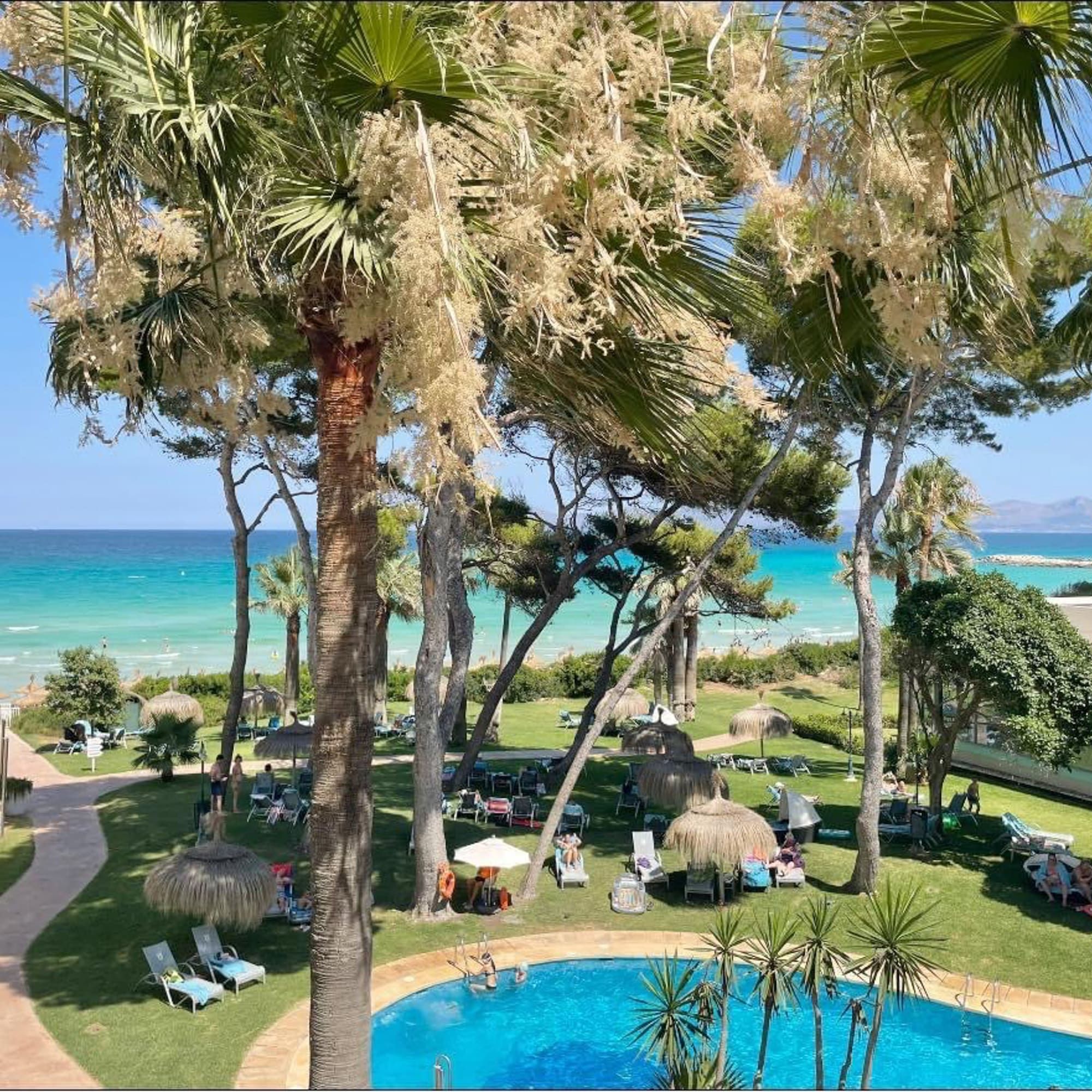 a pool with chairs and umbrellas by a beach