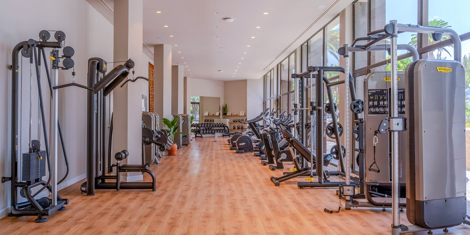Bright modern gym with cardio, strength training machines, and free weights.