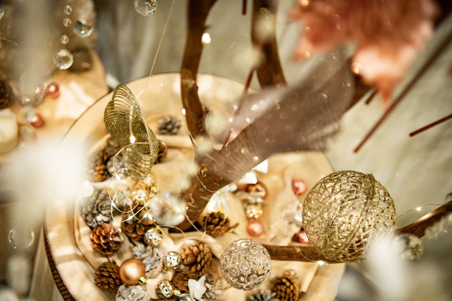 a close up of a tree