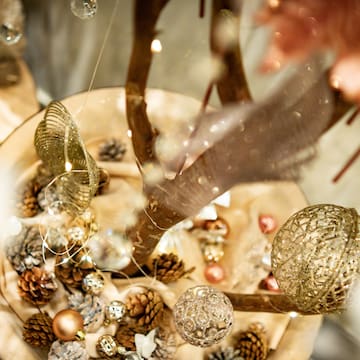 a close up of a tree