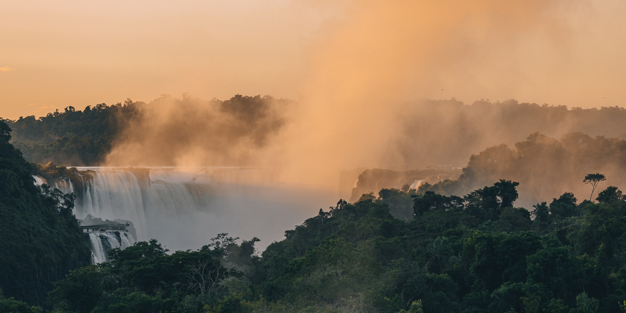a waterfall with trees and fog