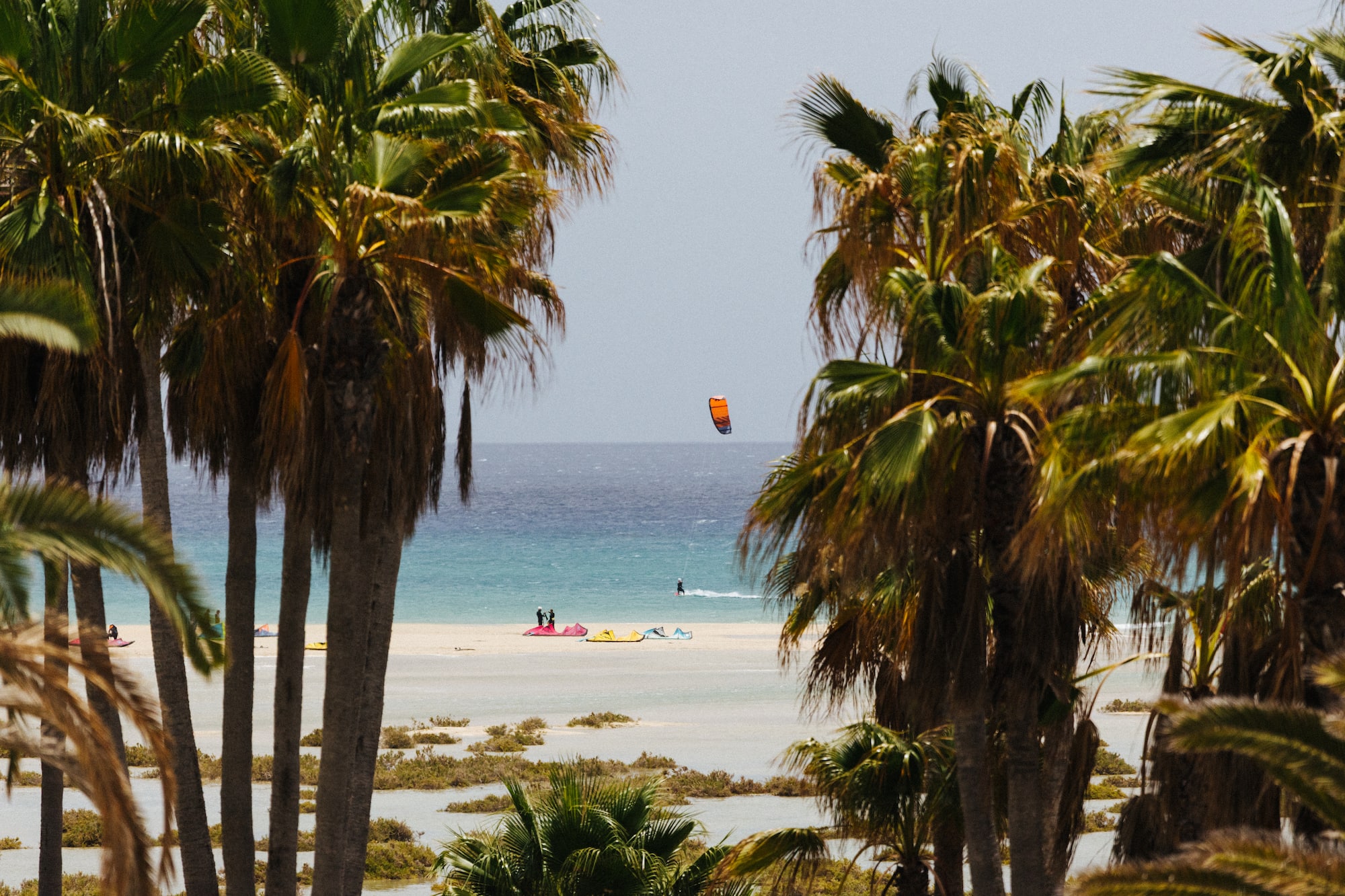 Palmeras enmarcando playa, mar azul, kitesurfista y cometa naranja.