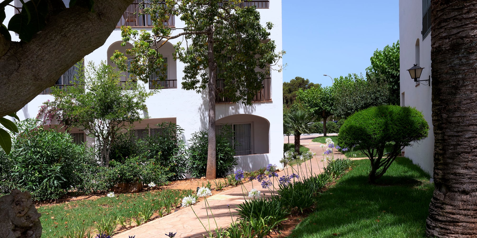 a path between two buildings