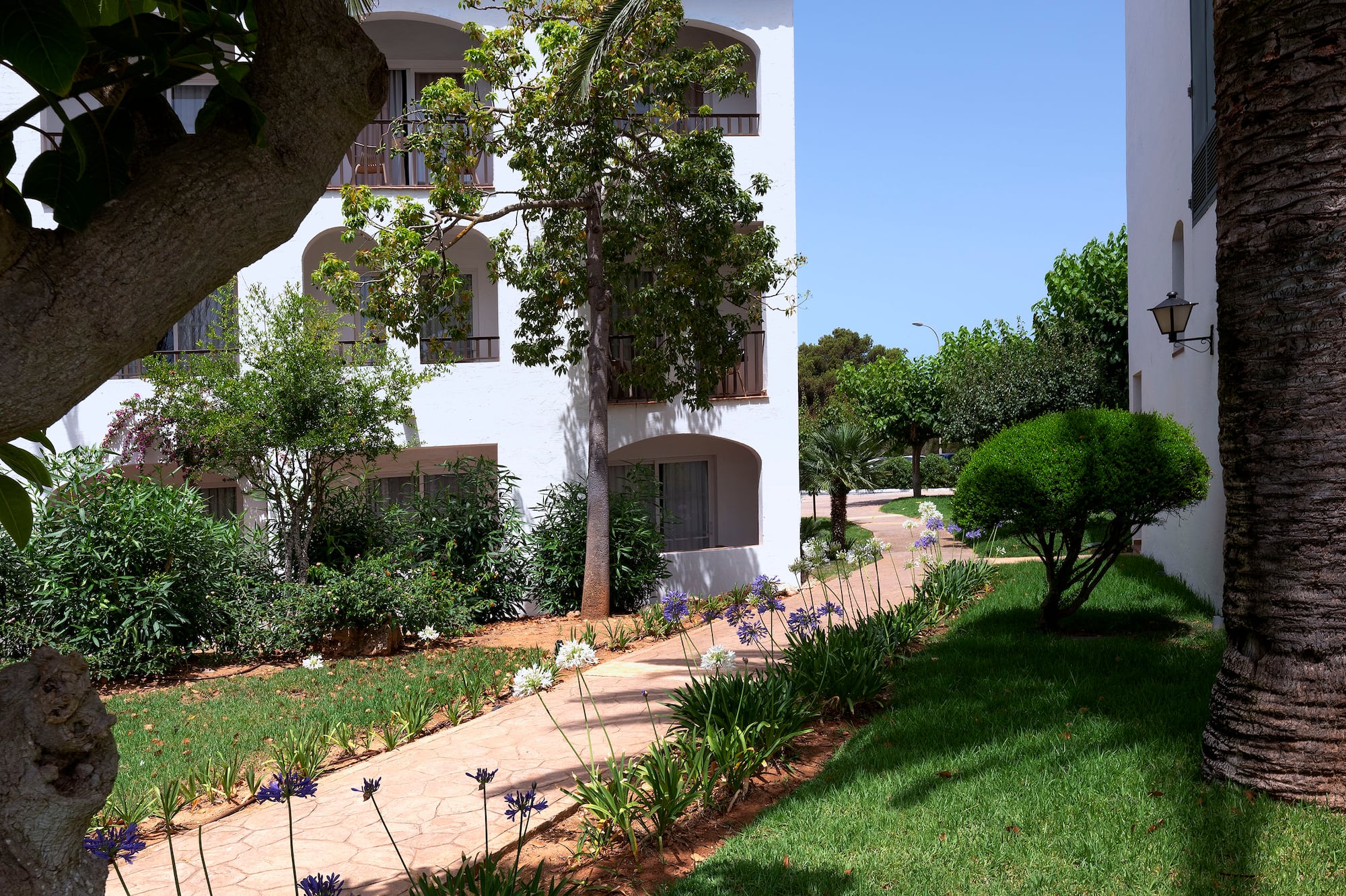 White resort building with lush garden, palm trees, and winding path.