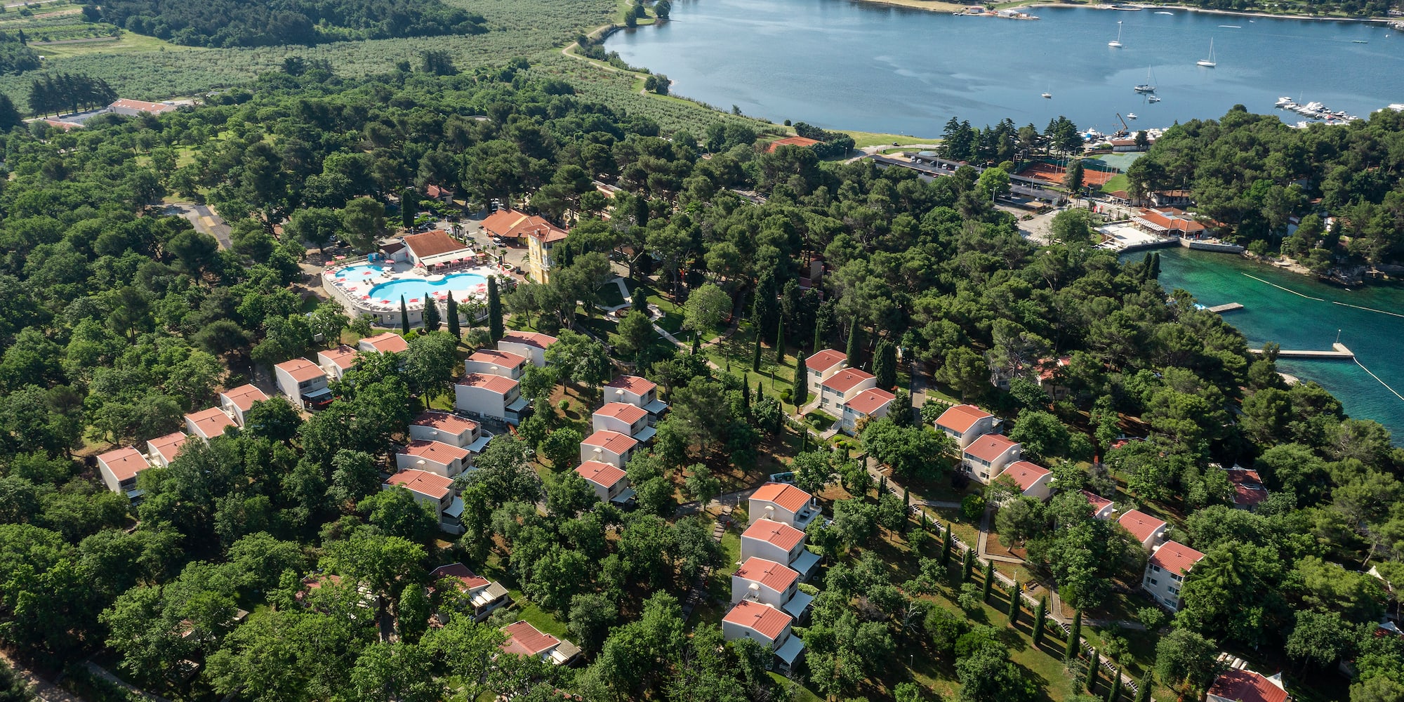 a group of houses surrounded by trees and a body of water