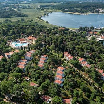 a group of houses surrounded by trees and a body of water