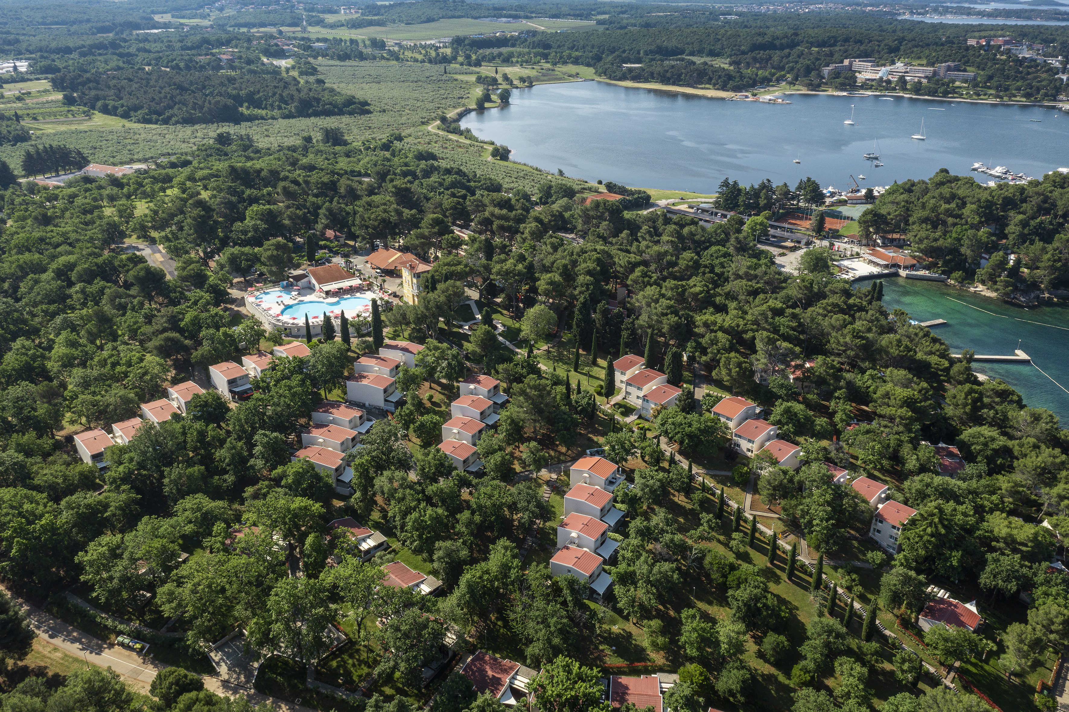 a group of houses surrounded by trees and a body of water