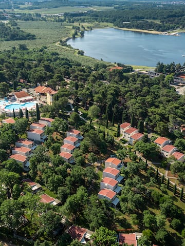 a group of houses surrounded by trees and a body of water