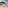 Hotel balcony with outdoor seating, resort buildings, and pine trees.