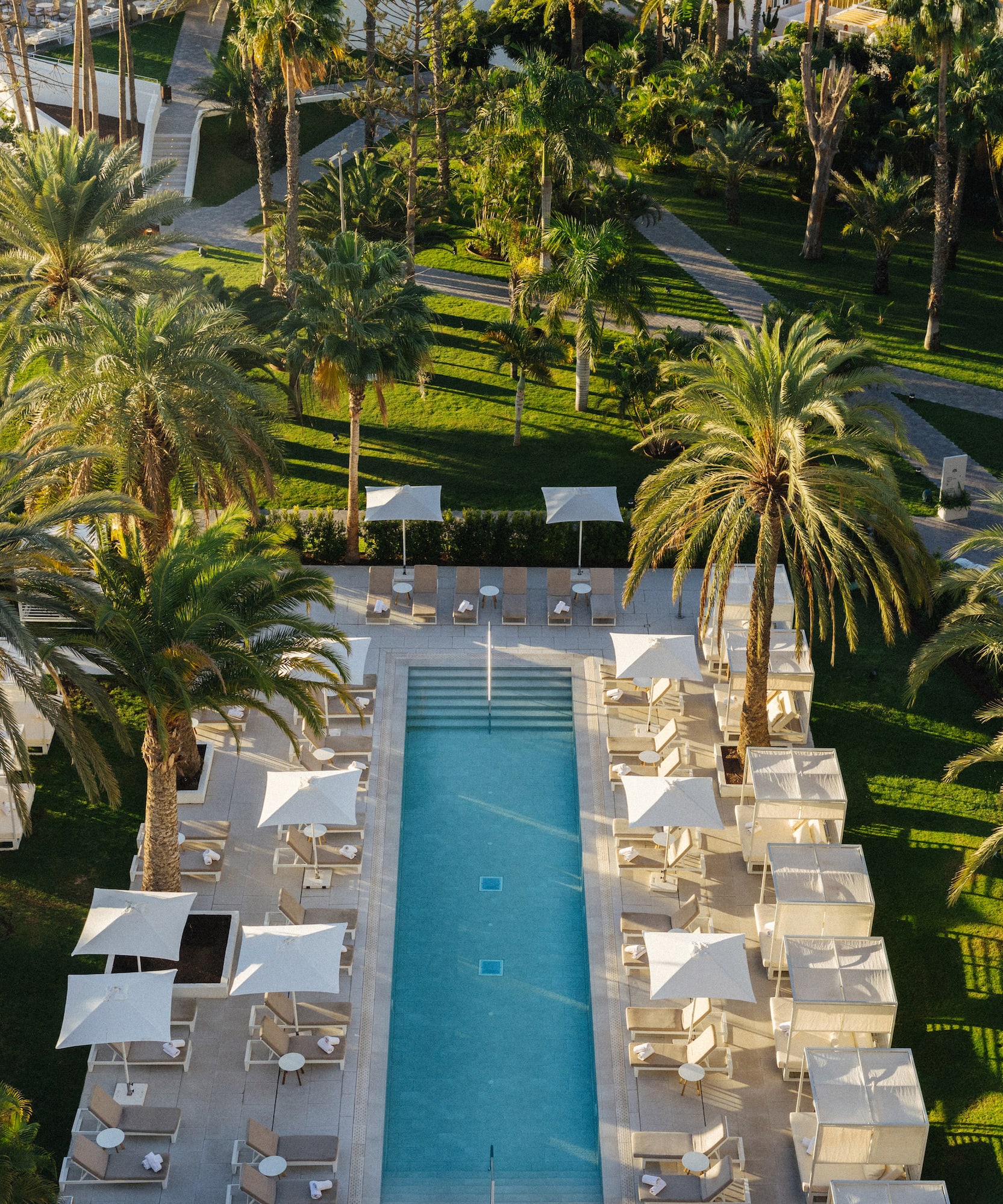Aerial view: luxurious resort pool with sun loungers, palm trees, and green gardens.