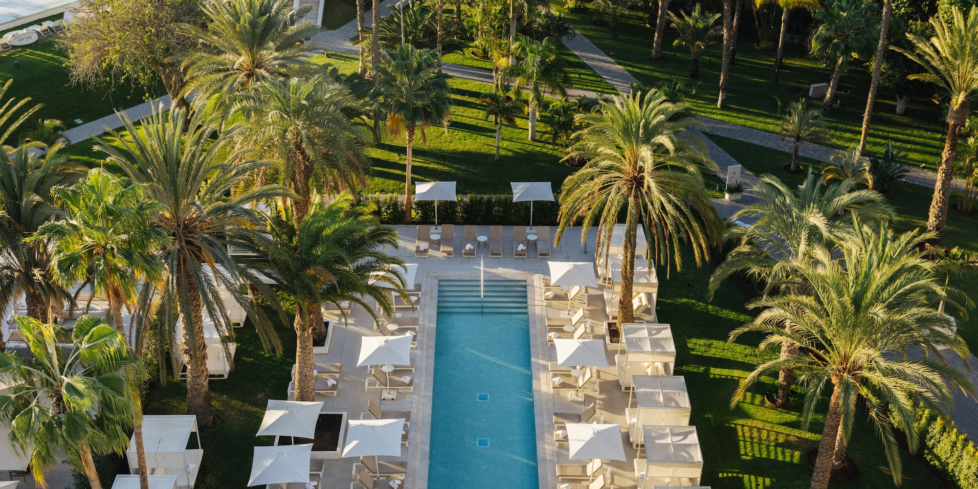Aerial view of luxury resort pool with palm trees and sun loungers.