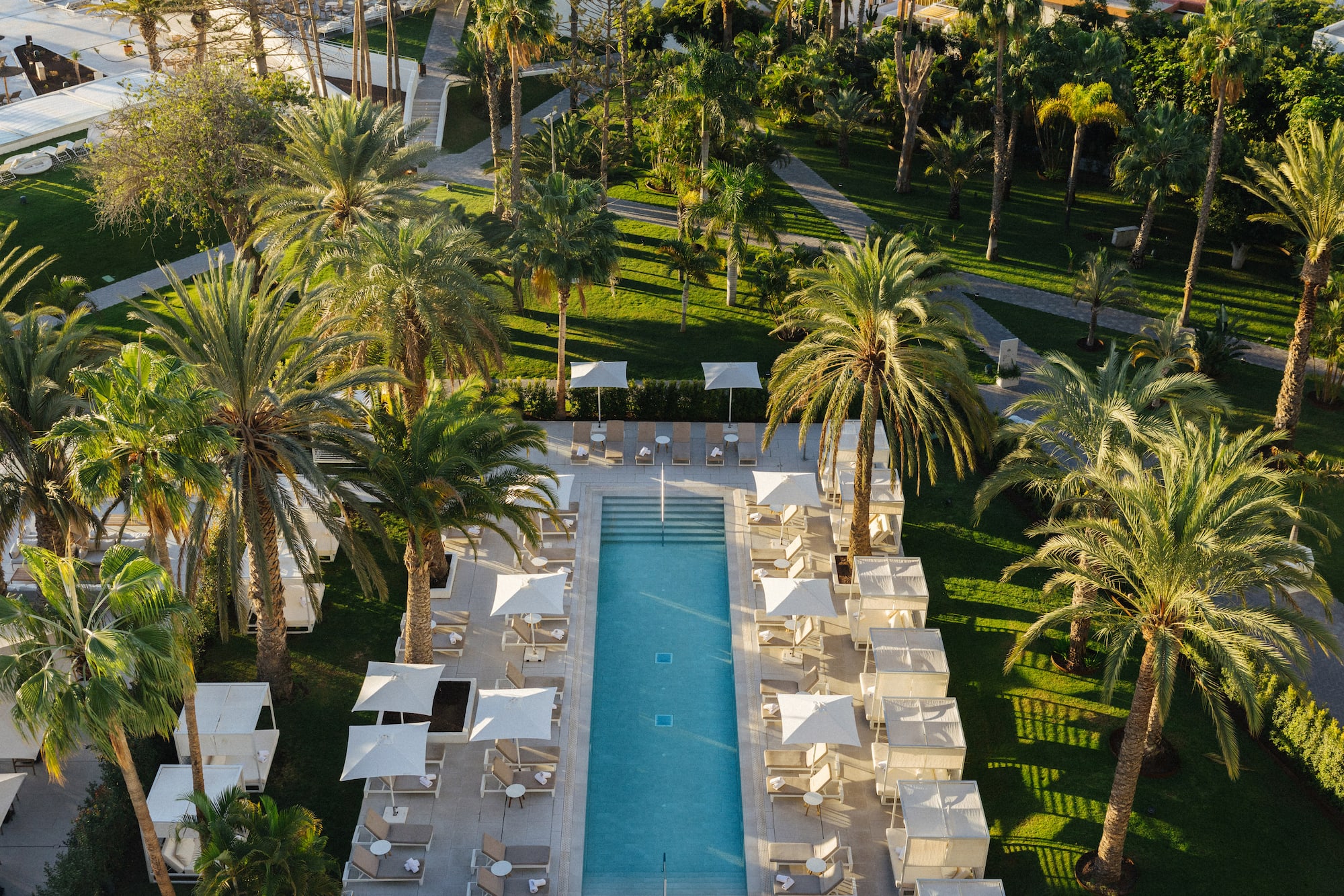 Aerial view: luxurious resort pool with sun loungers, palm trees, and green gardens.