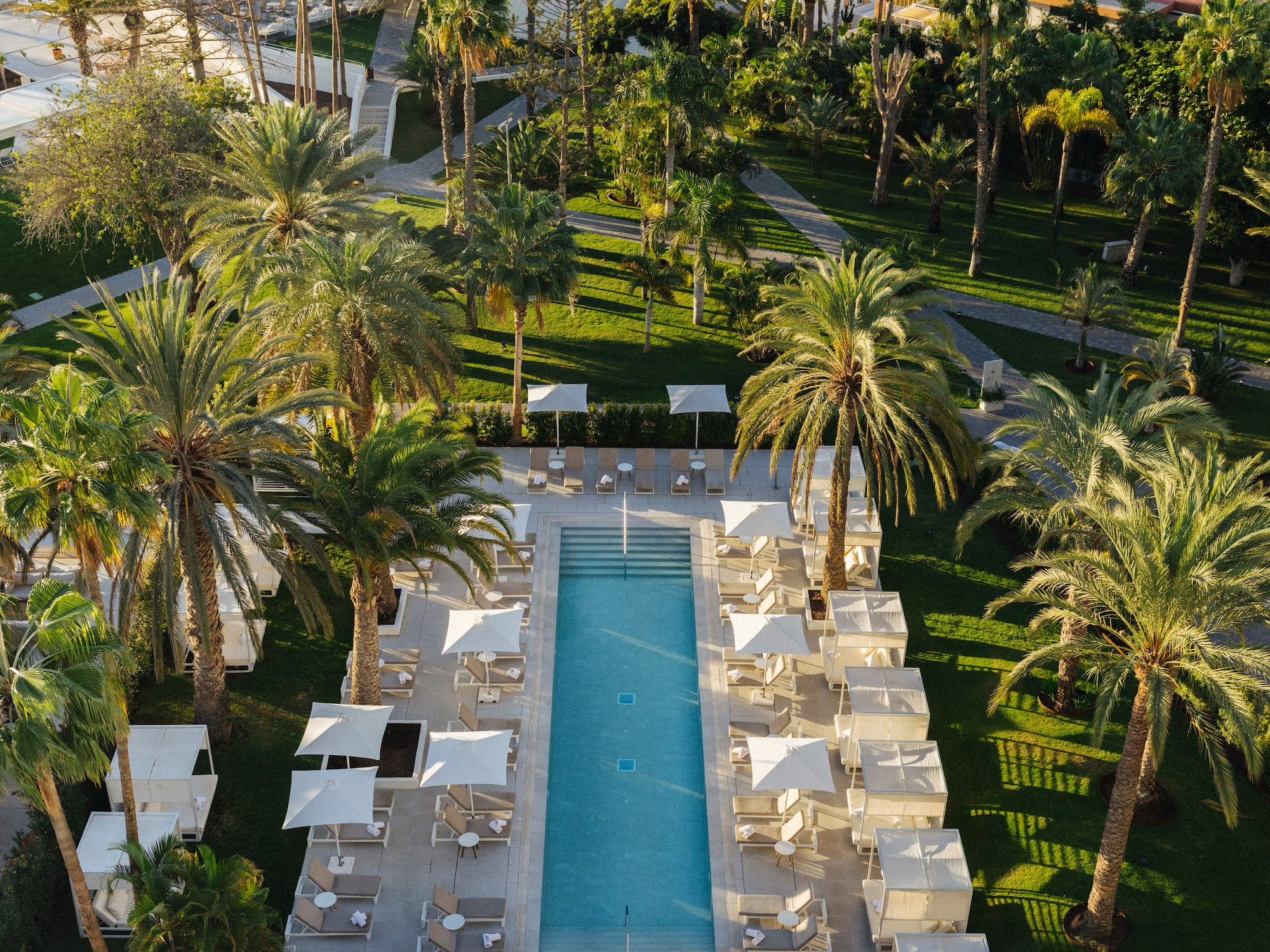 Aerial view: luxurious resort pool with sun loungers, palm trees, and green gardens.