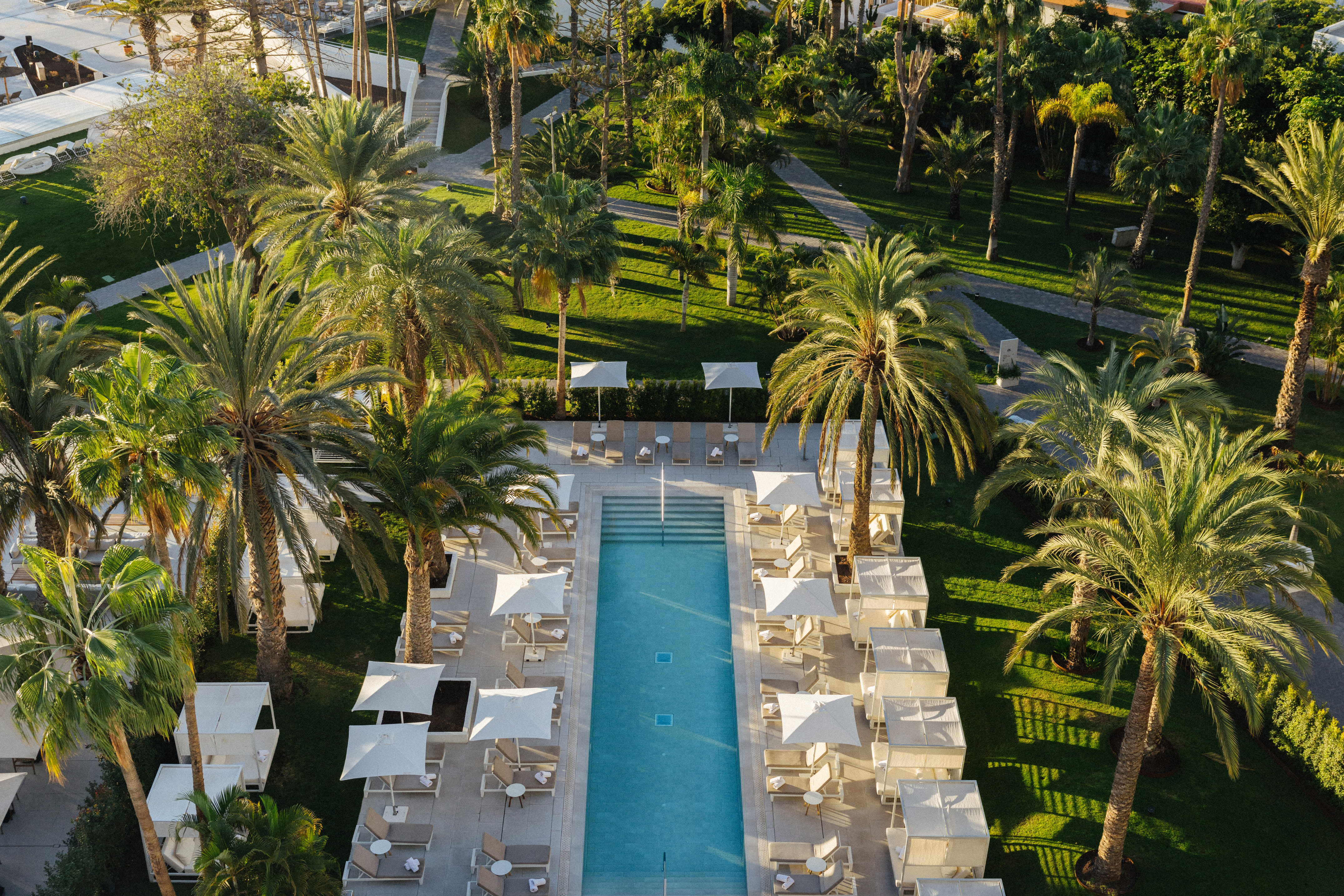 Aerial view: luxurious resort pool with sun loungers, palm trees, and green gardens.