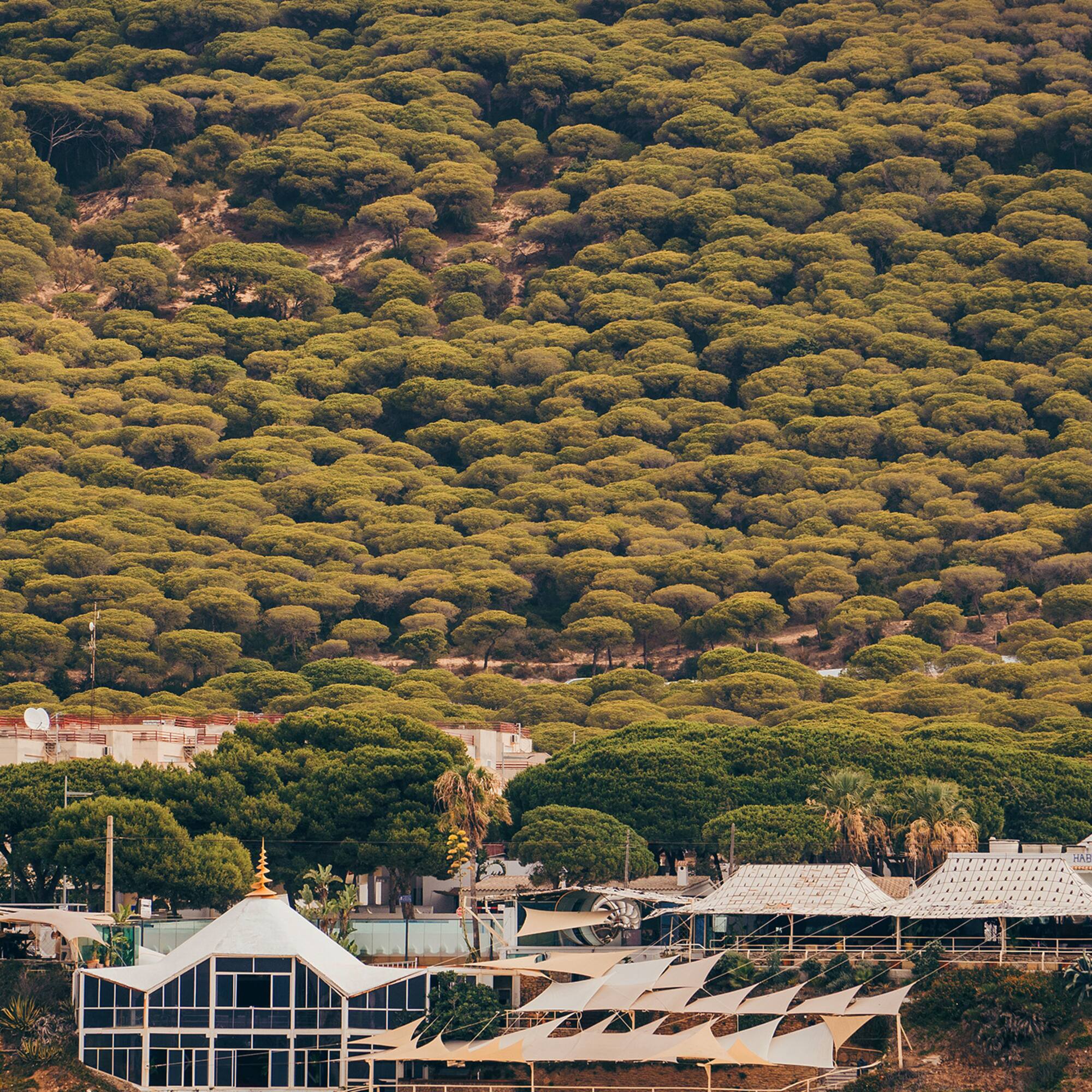 a group of buildings with trees in the background